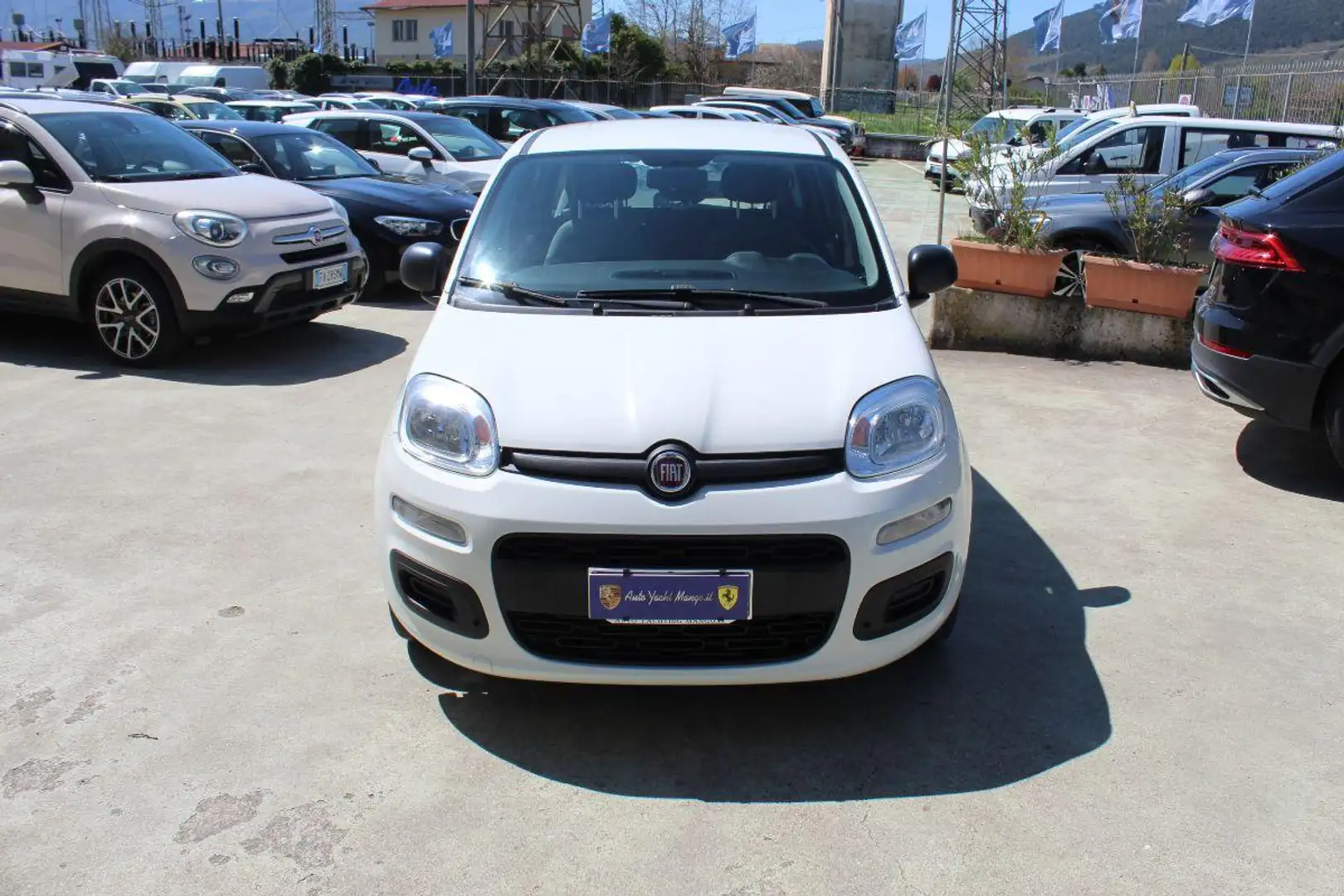 Fiat Panda 1.0 FireFly S&S Hybrid City Life Bianco - 2