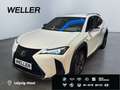 Lexus UX 300h Hybrid 5-Türer F-SPORT Design 199 PS Weiß - thumbnail 1