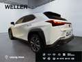 Lexus UX 300h Hybrid 5-Türer F-SPORT Design 199 PS Weiß - thumbnail 6