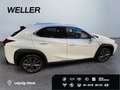 Lexus UX 300h Hybrid 5-Türer F-SPORT Design 199 PS Weiß - thumbnail 13