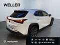 Lexus UX 300h Hybrid 5-Türer F-SPORT Design 199 PS Weiß - thumbnail 8