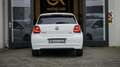 Volkswagen Polo 1.0 TSI Highline AUTOMAAT-CLIMA-CRUISE-NAVIGATIE Blanc - thumbnail 6
