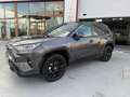 Toyota RAV 4 2.5 hybrid 2WD Luxury Gris - thumbnail 1