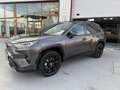 Toyota RAV 4 2.5 hybrid 2WD Luxury Gris - thumbnail 7