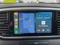 Kia Sportage 1.6 MHEV Black Edition 4x2 136 Blanco - thumbnail 19