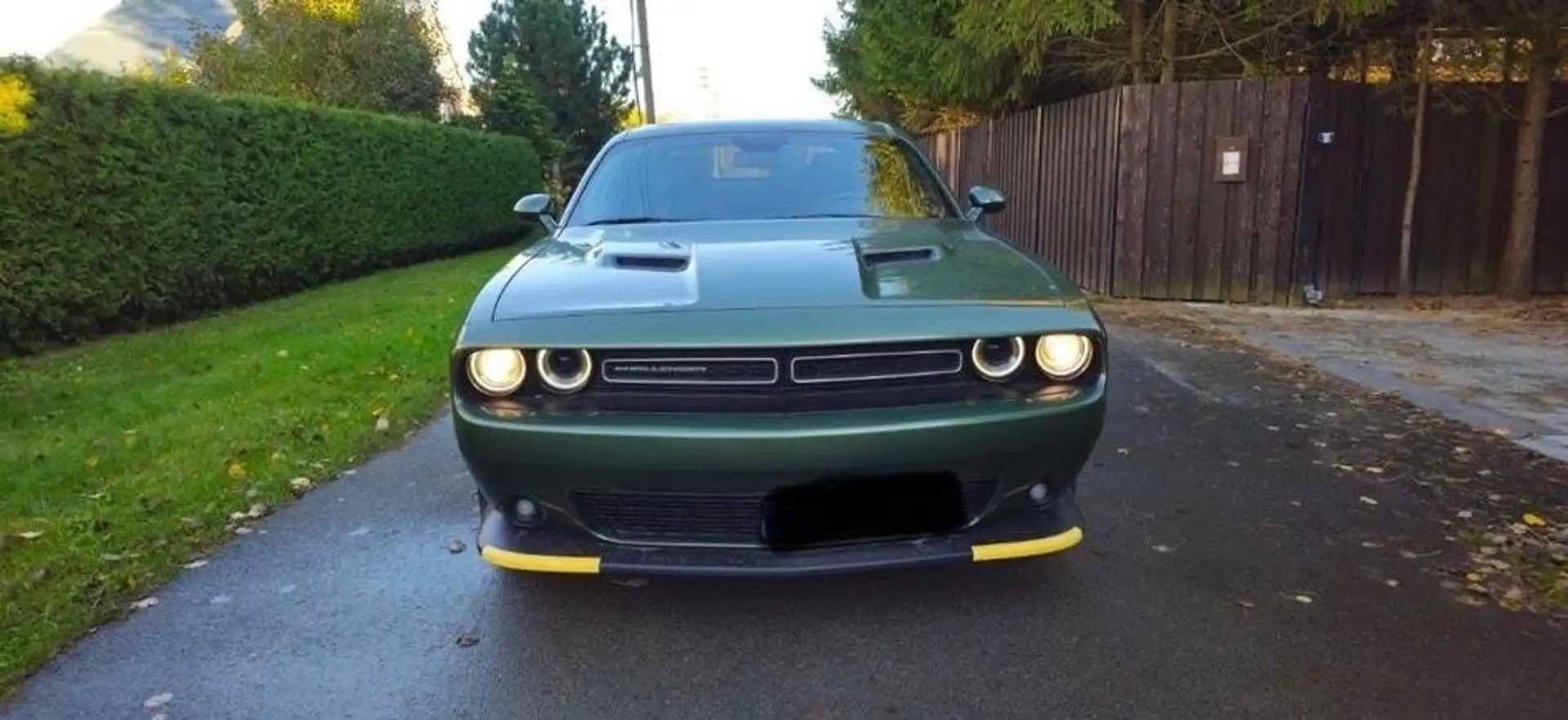 Dodge Challenger Premium 4x4 Unfallfrei Verde - 2