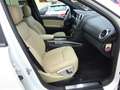 Mercedes-Benz ML 280 ML 280 CDI Edition4Matic 1Besitz 100.000 Kilometer Weiß - thumbnail 15