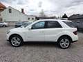 Mercedes-Benz ML 280 ML 280 CDI Edition4Matic 1Besitz 100.000 Kilometer Weiß - thumbnail 9