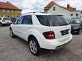 Mercedes-Benz ML 280 ML 280 CDI Edition4Matic 1Besitz 100.000 Kilometer Weiß - thumbnail 6