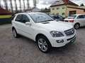 Mercedes-Benz ML 280 ML 280 CDI Edition4Matic 1Besitz 100.000 Kilometer Weiß - thumbnail 3