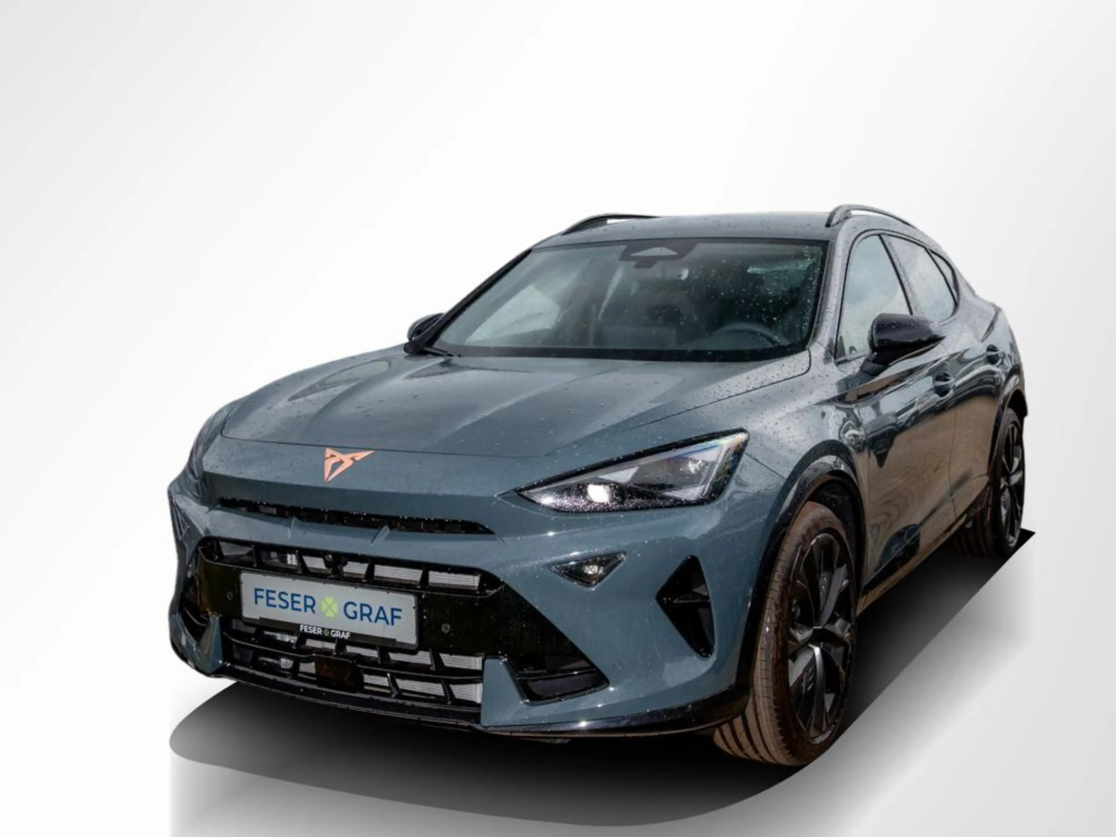 CUPRA Formentor VZ 2.0 TSI 4Drive KAMERA/NAVI/SHZ/ACC — photo 14