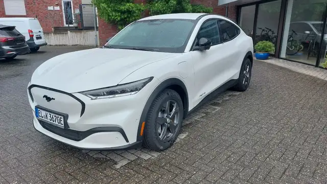 Ford Mustang Mach-E Basis