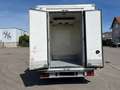 Fiat Ducato *Xarios 600MT*DoppelKühlung*Doppelkühlf. Weiß - thumbnail 5