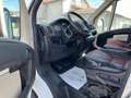 Fiat Ducato *Xarios 600MT*DoppelKühlung*Doppelkühlf. Weiß - thumbnail 13