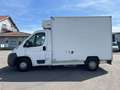 Fiat Ducato *Xarios 600MT*DoppelKühlung*Doppelkühlf. Weiß - thumbnail 2
