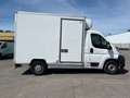 Fiat Ducato *Xarios 600MT*DoppelKühlung*Doppelkühlf. Weiß - thumbnail 7