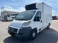 Fiat Ducato *Xarios 600MT*DoppelKühlung*Doppelkühlf. Weiß - thumbnail 1