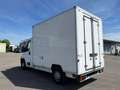 Fiat Ducato *Xarios 600MT*DoppelKühlung*Doppelkühlf. Weiß - thumbnail 3