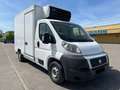 Fiat Ducato *Xarios 600MT*DoppelKühlung*Doppelkühlf. Weiß - thumbnail 9