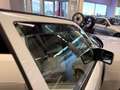 Mercedes-Benz 230 E W12 Wertgutachten Note 2 / Typisiert Weiß - thumbnail 15