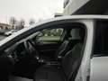 Renault Arkana 1.6 E-Tech hybrid Intens 145cv GF716 White - thumbnail 14