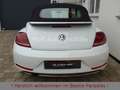 Volkswagen Beetle 1.2TSI DSG Sound Plus Fender AppCon. Weiß - thumbnail 6