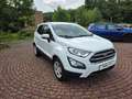 Ford EcoSport Trend Weiß - thumbnail 7