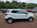 Ford EcoSport Trend Weiß - thumbnail 6