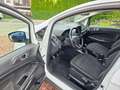 Ford EcoSport Trend Weiß - thumbnail 9