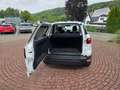 Ford EcoSport Trend Weiß - thumbnail 11