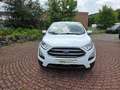 Ford EcoSport Trend Weiß - thumbnail 8