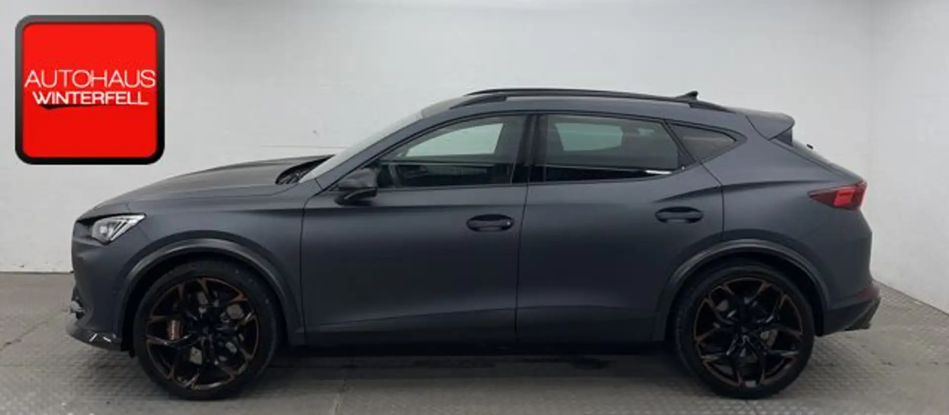 CUPRA Formentor VZ5 2.5 TSI 4D ABT+CARBON+BEATS+360+ siva - 2
