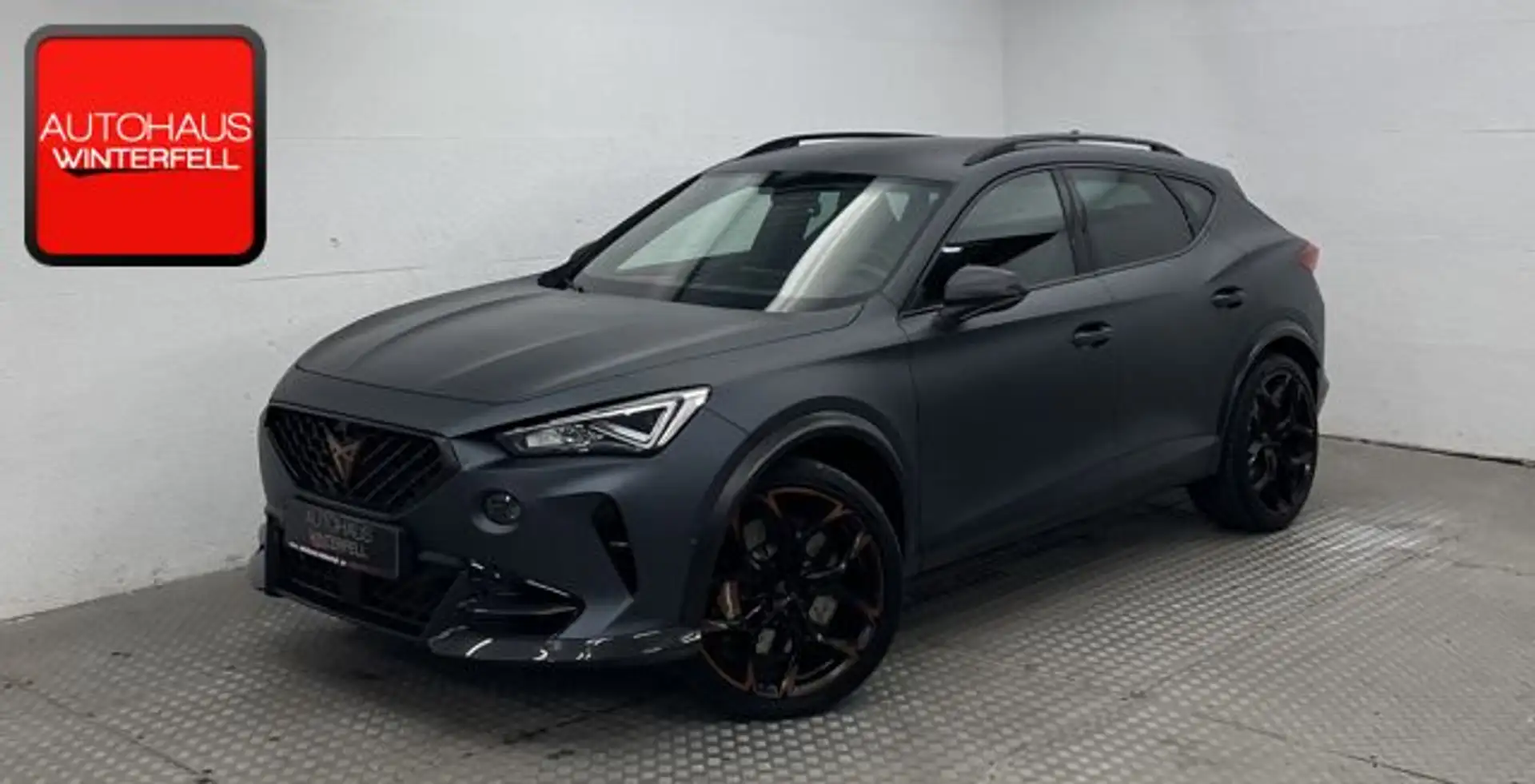 CUPRA Formentor VZ5 2.5 TSI 4D ABT+CARBON+BEATS+360+ siva - 1