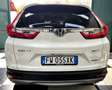 Honda CR-V CR-V 2.0 hev Executive Navi awd ecvt Wit - thumbnail 5