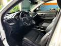 Honda CR-V CR-V 2.0 hev Executive Navi awd ecvt Wit - thumbnail 7