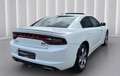 Dodge Charger Berlina Automático de 6 Puertas Blanc - thumbnail 18