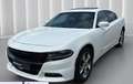 Dodge Charger Berlina Automático de 6 Puertas Blanc - thumbnail 20