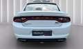Dodge Charger Berlina Automático de 6 Puertas Blanc - thumbnail 17