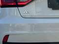 Audi A1 25 TFSI - 2019 - 102.000 KM White - thumbnail 15