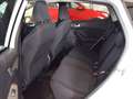 Ford Fiesta Active 1.0 ecoboost h 125cv Weiß - thumbnail 10