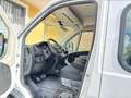 Fiat Ducato 2.3 MJT 130CV CASSONE CON GRU 7 POSTI Bianco - thumbnail 10