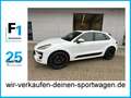 Porsche Macan GTS Kamera PCM Panorama Bose Lenkradhzg 1. Hd. neu Blanc - thumbnail 1