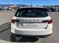 Skoda Fabia 1.0 mpi evo Ambition 65cv Bianco - thumbnail 10