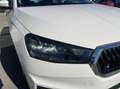Skoda Fabia 1.0 mpi evo Ambition 65cv Bianco - thumbnail 14