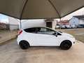 Ford Fiesta 1.0 80CV ST LINE Black & White Edition BELLISSIMA Weiß - thumbnail 8