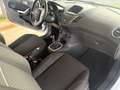 Ford Fiesta 1.0 80CV ST LINE Black & White Edition BELLISSIMA Weiß - thumbnail 10