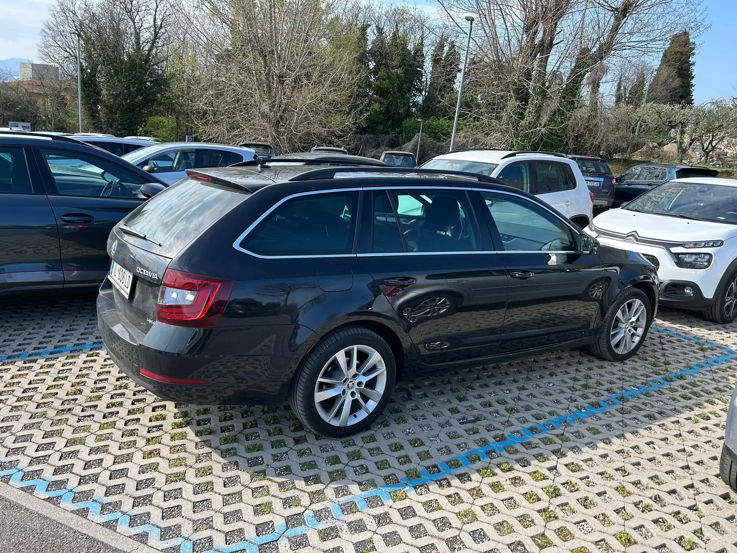 Skoda Octavia Combi 1,6 Style Limited TDI 4x4 Schwarz - 2