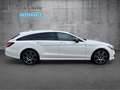 Mercedes-Benz CLS 350 CLS 350 d 4M SB AMG+NIGHT+STHZ+AIRM+DISTR+SITZKL Blanc - thumbnail 4