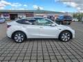 Tesla Model Y LongRange AWD / AHK Blanc - thumbnail 11