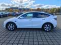 Tesla Model Y LongRange AWD / AHK Blanc - thumbnail 15